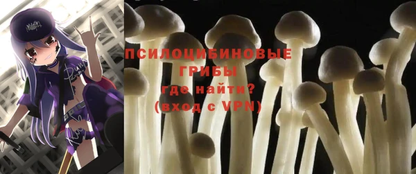 амфетамин Богданович
