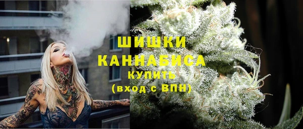 эйфоретик Белокуриха